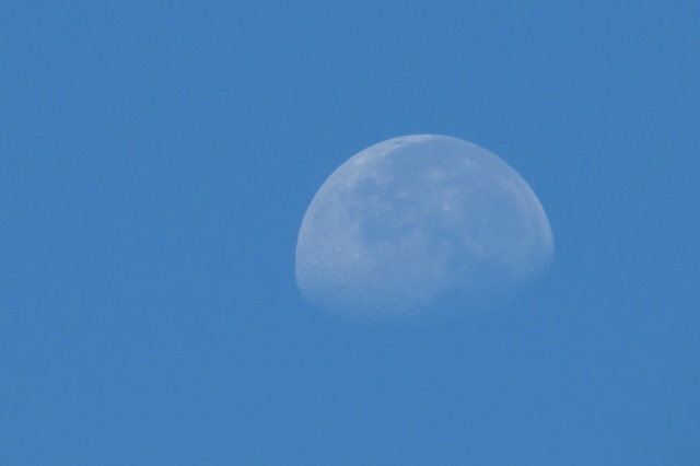 b0326576_00271922.jpg