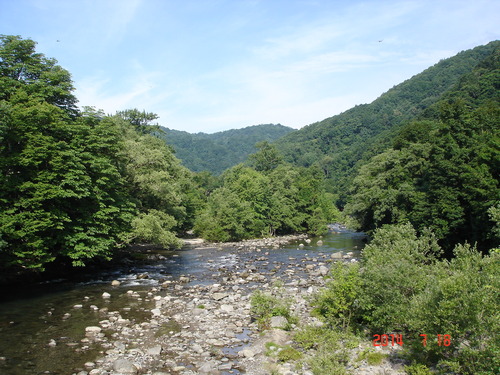 d0165378_1025793.jpg