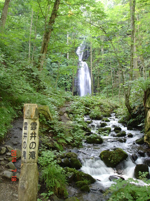 d0165378_10862.jpg