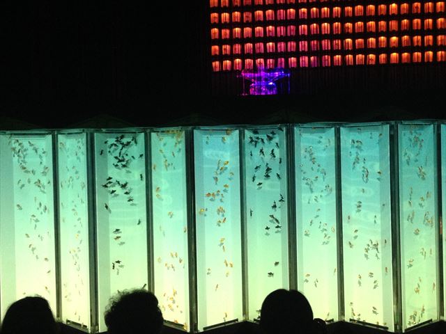 f0167281_21581893.jpg