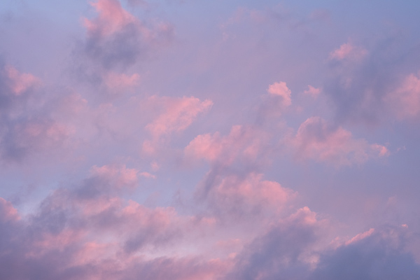a0053783_21465946.jpg