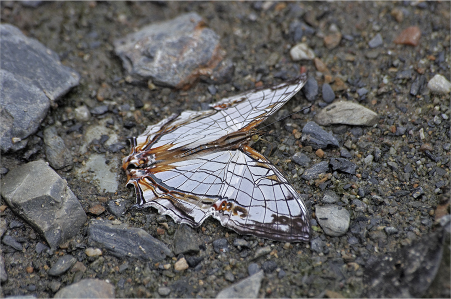 d0209988_20445737.jpg