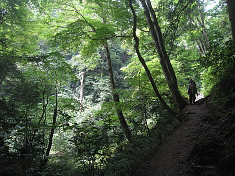 d0046702_14342010.jpg