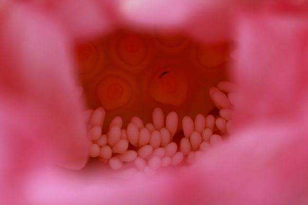 a0251508_2048786.jpg