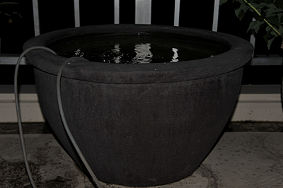 a0278809_1541722.gif