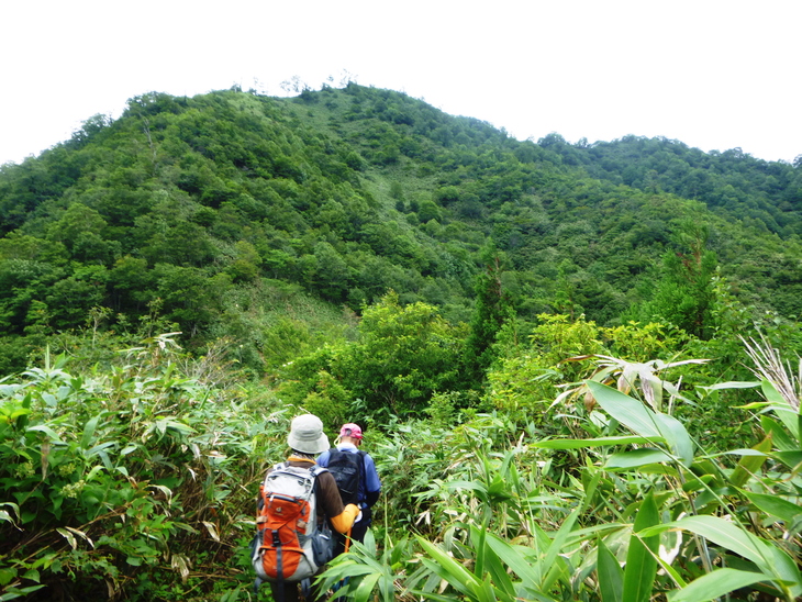 d0170615_7174057.jpg