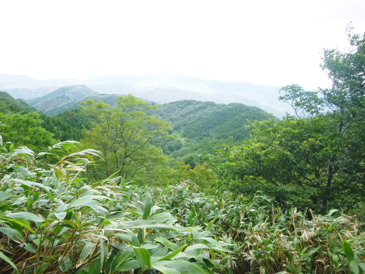 d0170615_718152.jpg