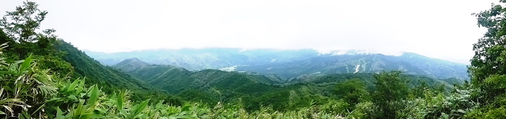 d0170615_7183347.jpg