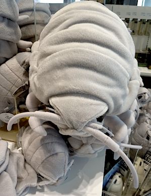 f0036716_17381763.jpg
