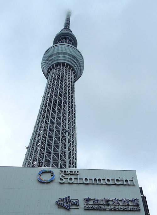 f0036716_1747750.jpg