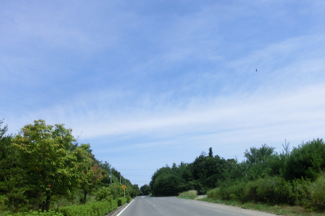 f0248120_20521799.jpg