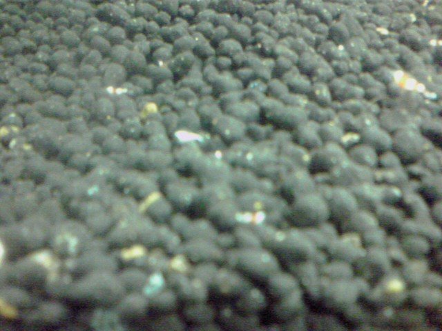 a0291521_8235731.jpg