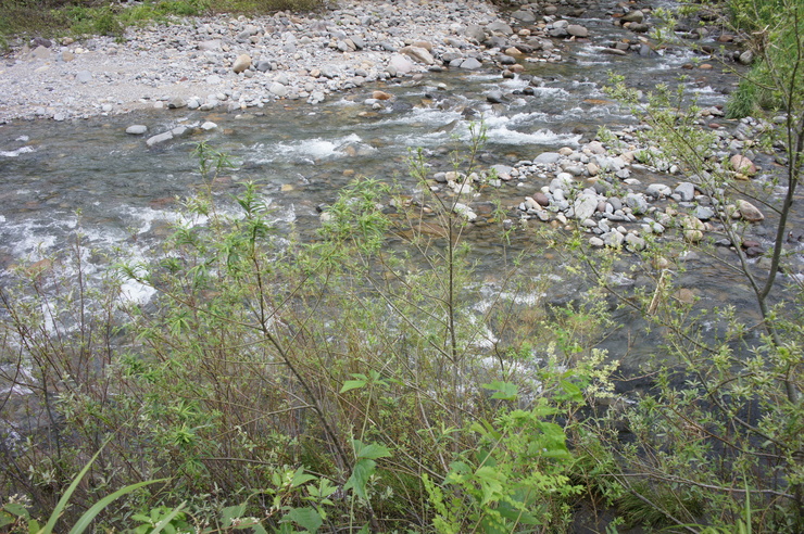 d0257922_21144995.jpg