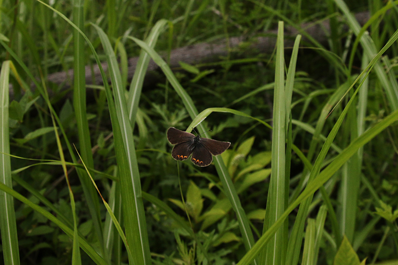 d0054625_0101824.jpg