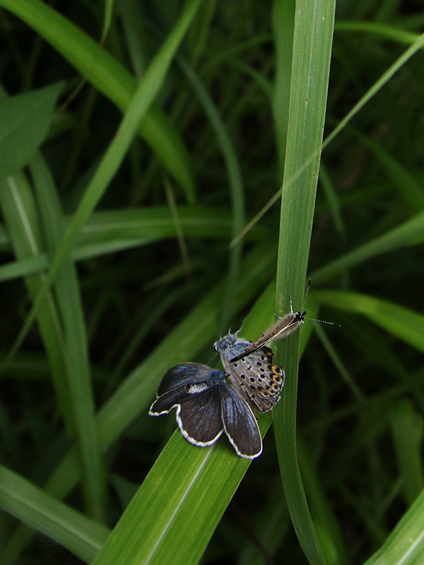 d0054625_017353.jpg