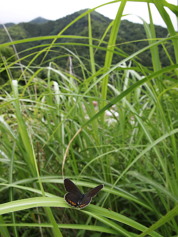 d0054625_093763.jpg