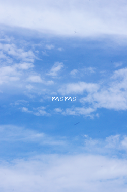d0263826_20294578.png