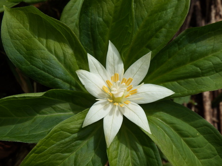 f0118332_1310897.jpg