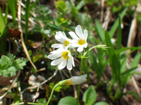f0118332_1312934.jpg