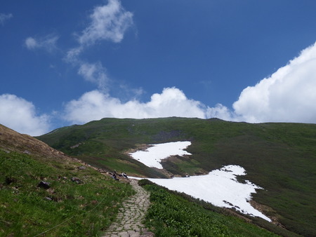 f0118332_1365693.jpg