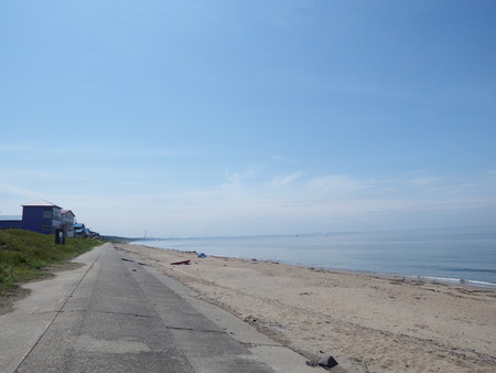 f0118332_155688.jpg