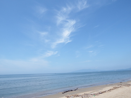 f0118332_161475.jpg