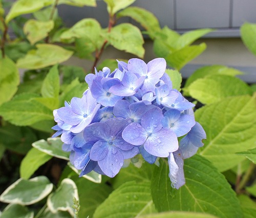 f0205733_10221821.jpg