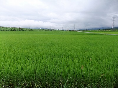 d0252835_12544154.jpg