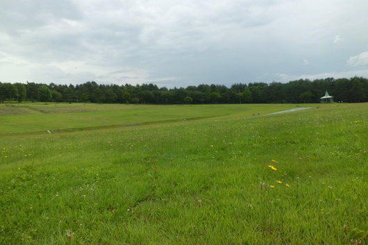 d0187248_21494116.jpg