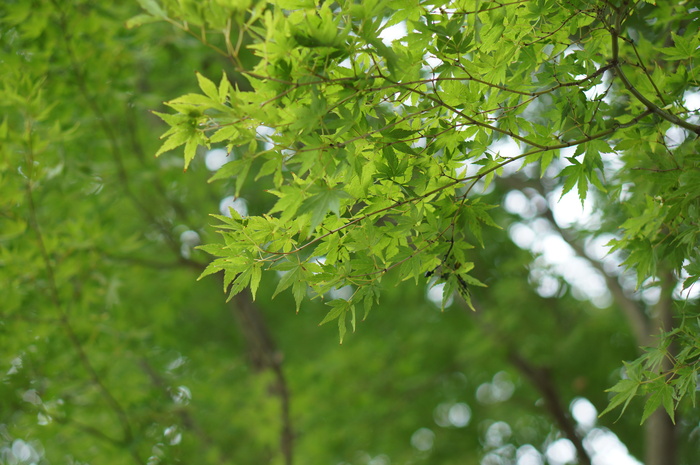 a0267860_1364241.jpg