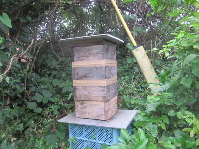 e0181260_21222433.jpg