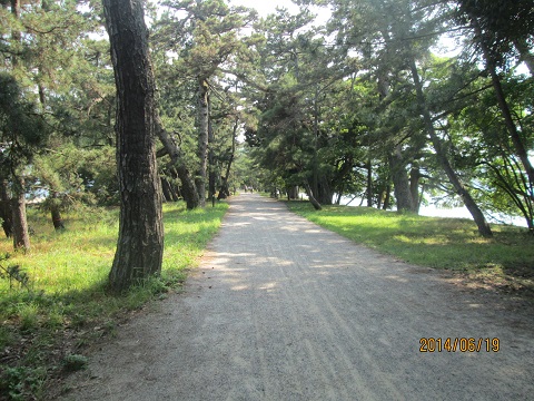 d0029363_10242229.jpg