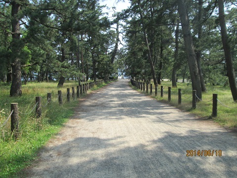 d0029363_1025193.jpg