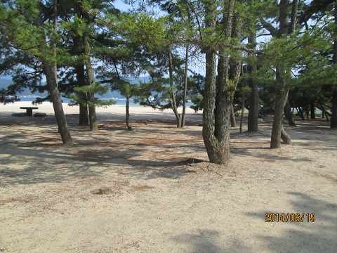d0029363_10272945.jpg