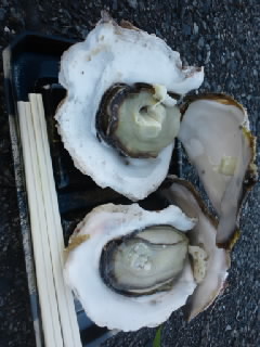 b0204566_22523989.jpg