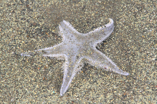 a0157069_15452166.jpg