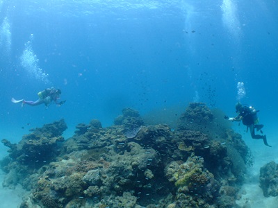 b0033573_18004551.jpg
