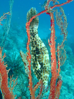 b0033573_18005411.jpg
