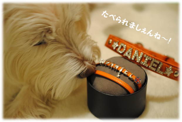 b0242873_01555708.png