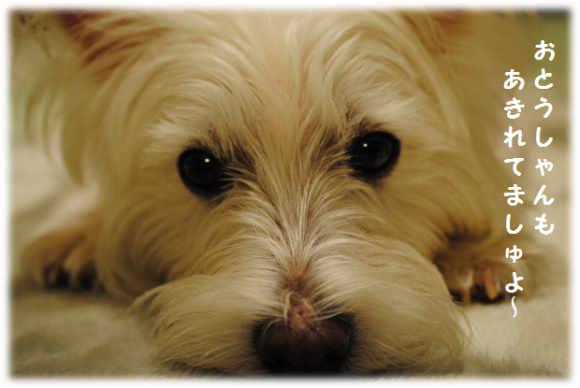 b0242873_02022885.png