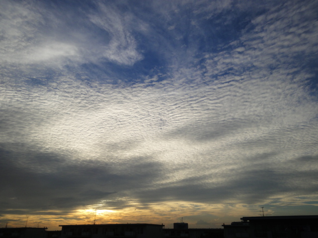 d0147774_15372112.jpg
