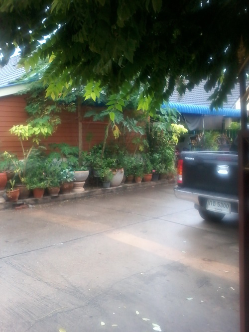a0002177_1028947.jpg