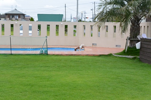 e0114977_024462.jpg