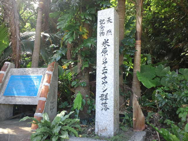 f0051283_2102369.jpg