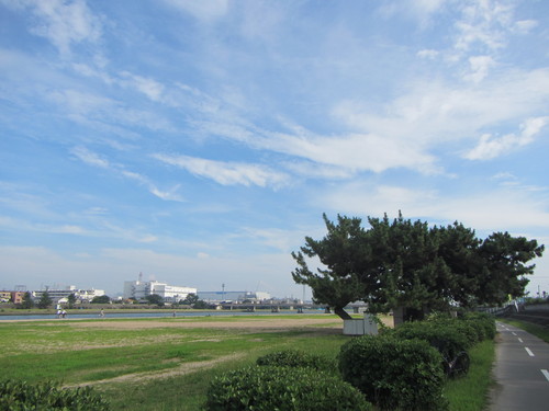 a0251786_1515646.jpg