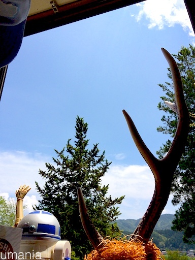 b0061004_2145757.jpg