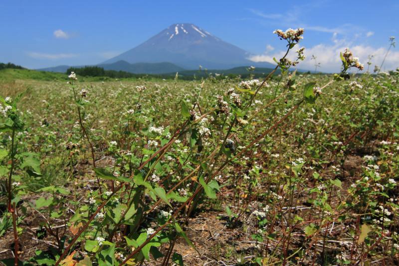 a0188405_06212701.jpg