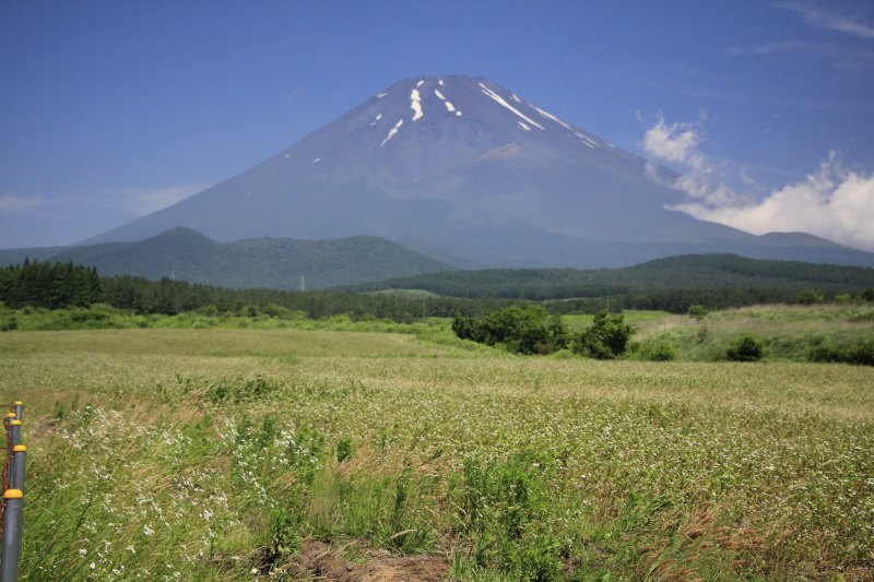 a0188405_06224971.jpg