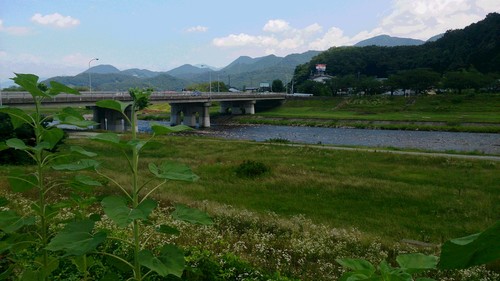 a0148408_11453545.jpg
