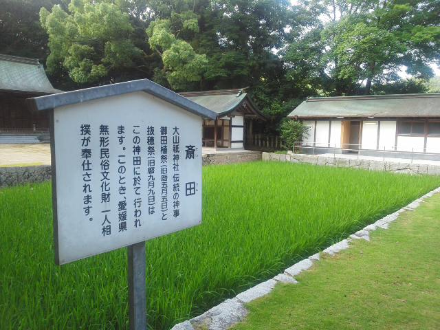 f0231709_1738837.jpg